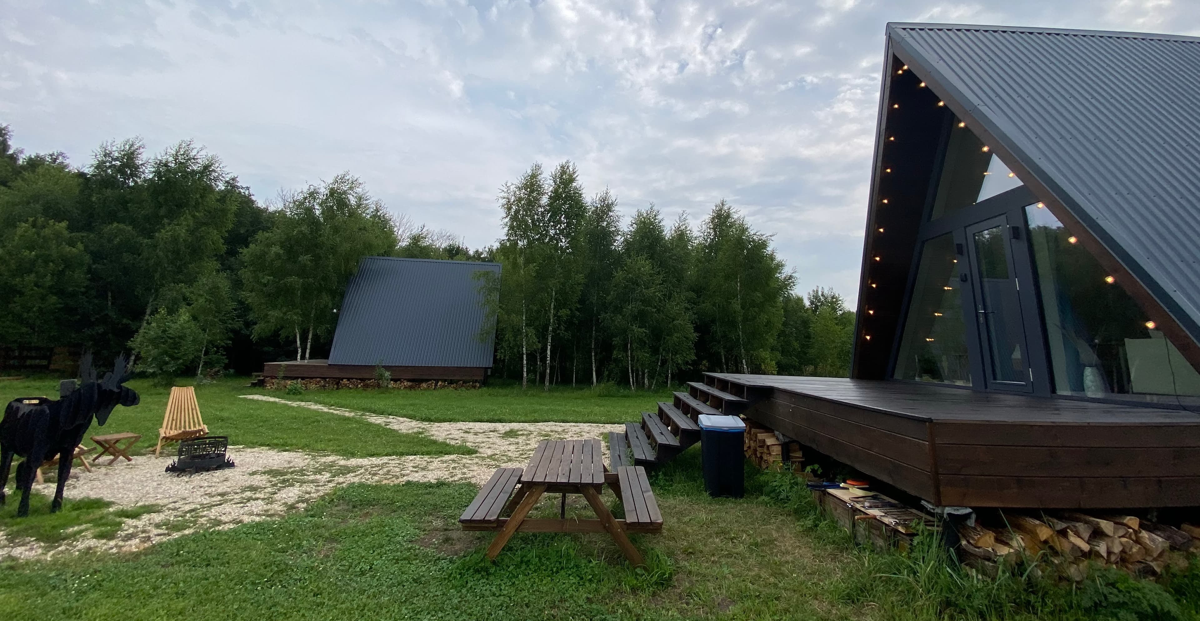 Лес и Небо