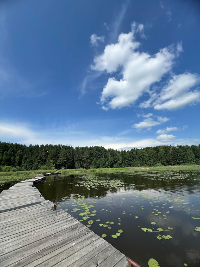 БарнБаш