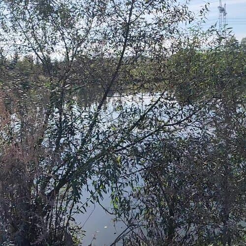 Болотов Дача