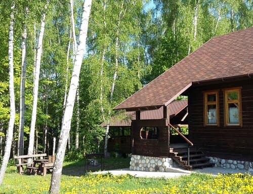 Чайка