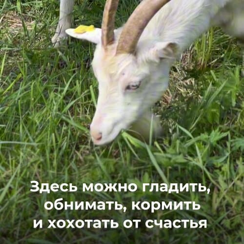 Эко-парк &amp;quot;Дух природы&amp;quot;
