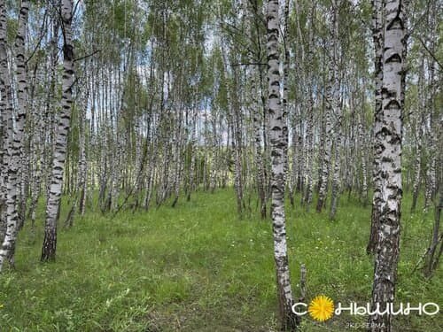 Экоферма Соньшино Парк