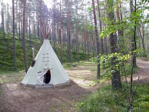Экоотель Лес