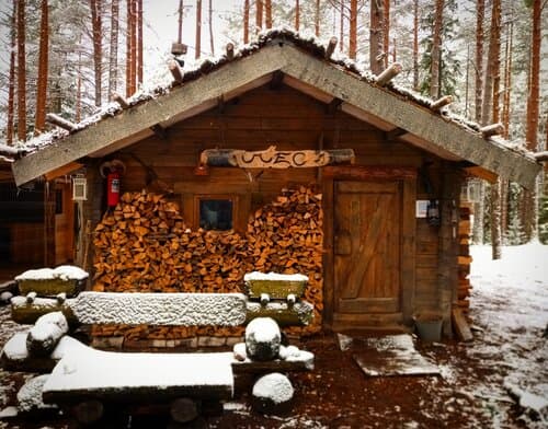 Экоотель Лес