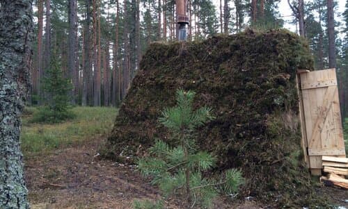 Экоотель Лес