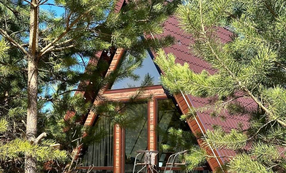 Forest camp