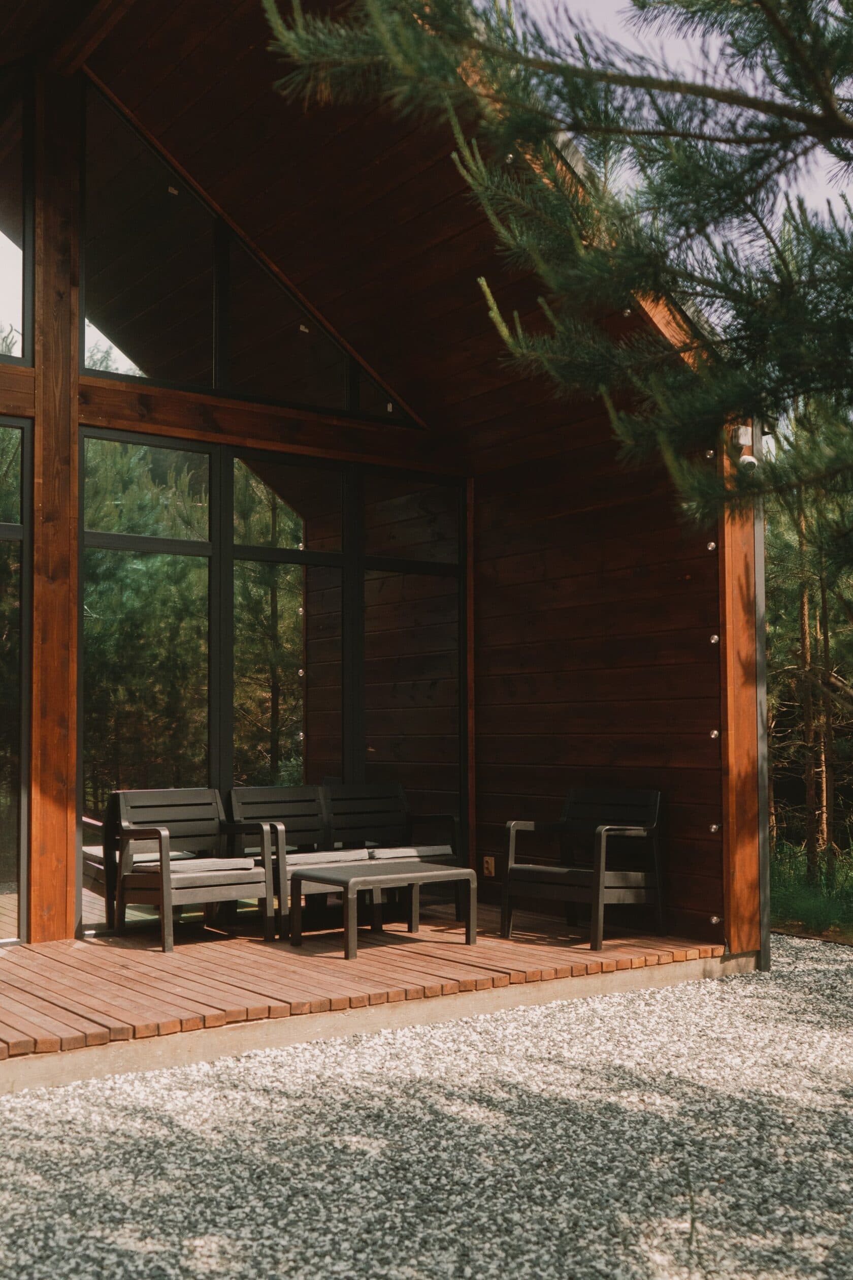 Forest camp