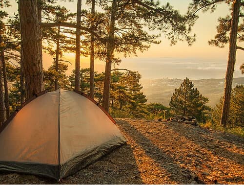 FOREST CAMPING