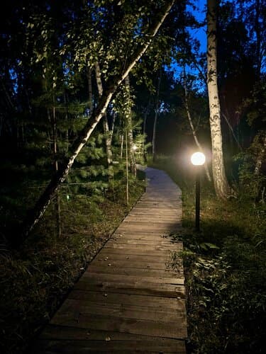 ForestHouse