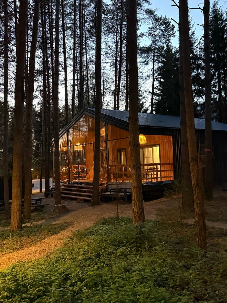 ФоррестЛенд