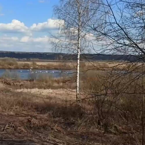 Кемпинг Видомлицы