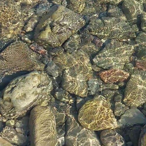 Эко-отель Гринвуд