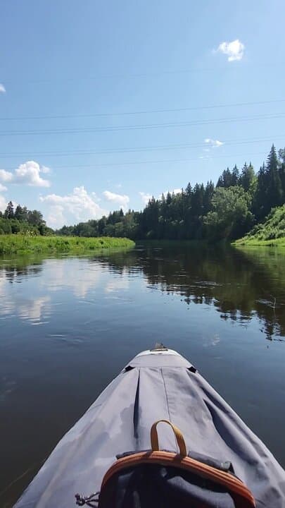 Хаски Деревня Рузская Аляска