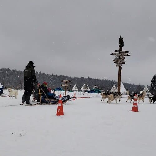 Хаски Деревня Рузская Аляска