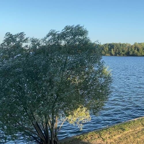 Истра Кемпинг