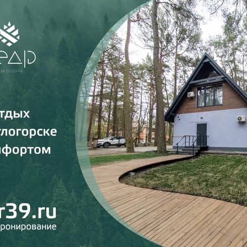 Кедр