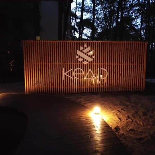 Кедр