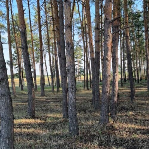 Наше место