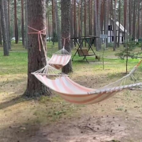 Плесков