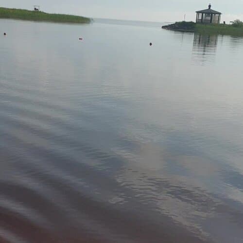 Плесков
