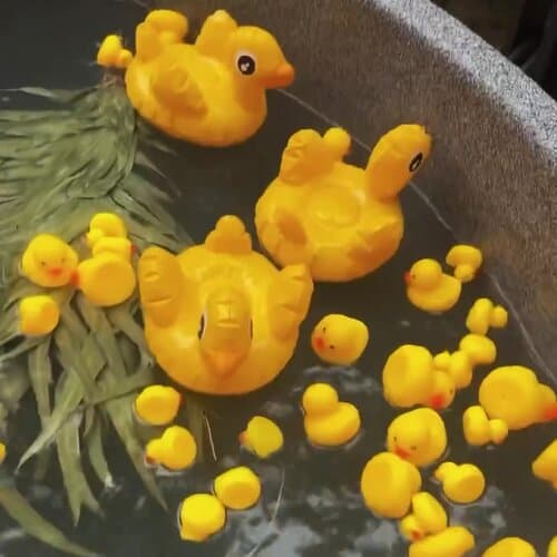 Под кронами
