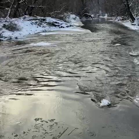 Романовское Подворье