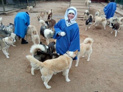 Рузская Аляска