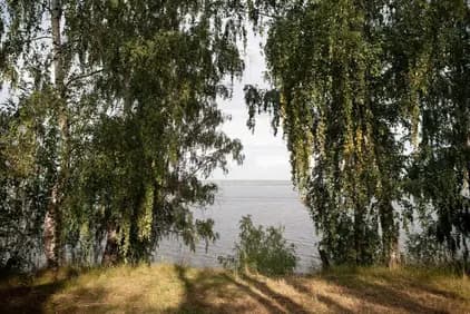 База отдыха Вид