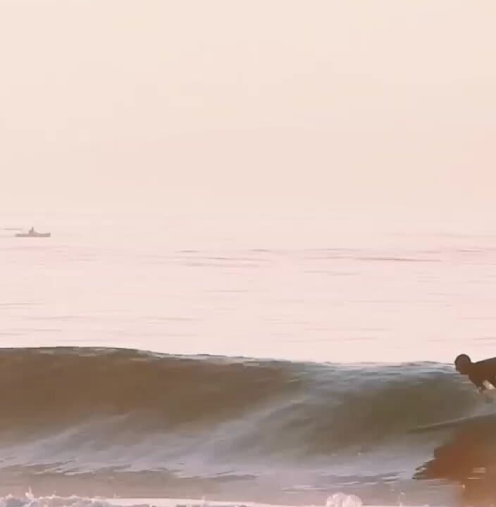 Surf Camp Swell