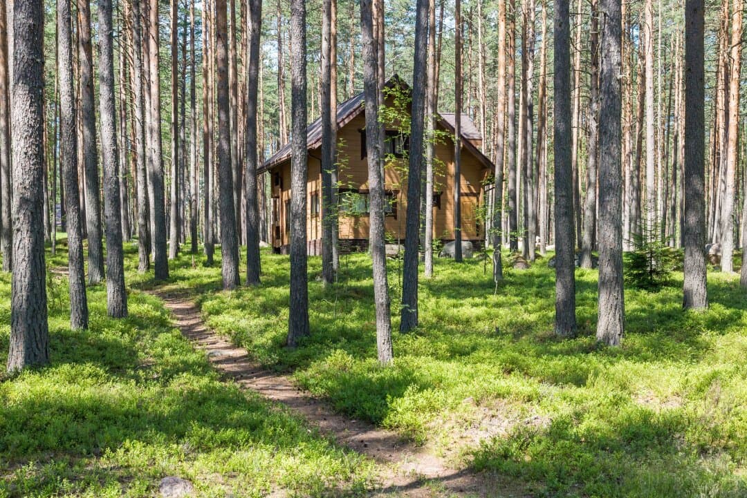 База отдыха Тихий берег