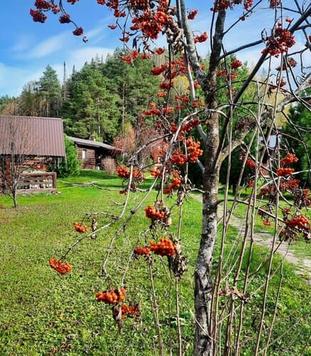 Заимка Лесника