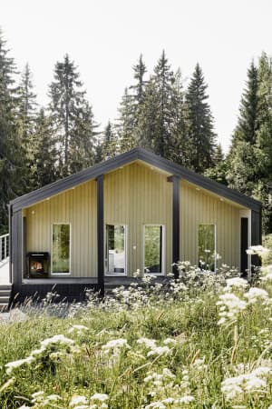 Панорамные коттеджи Аhinkoski