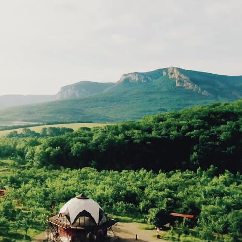 Арт-Ковчег