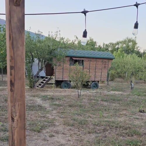 Арт-Ковчег
