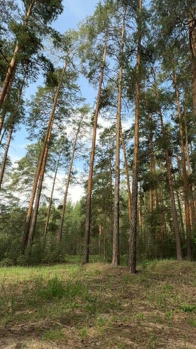 Глэмпинг Бард Вилладж