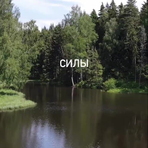 Bo Camp