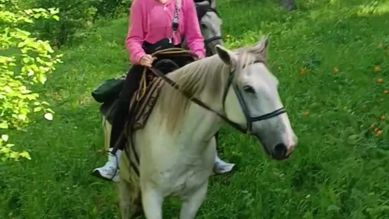 Чедоев привал