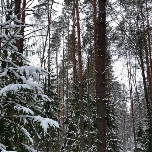 Глэмпинг Дача на Горе-Море