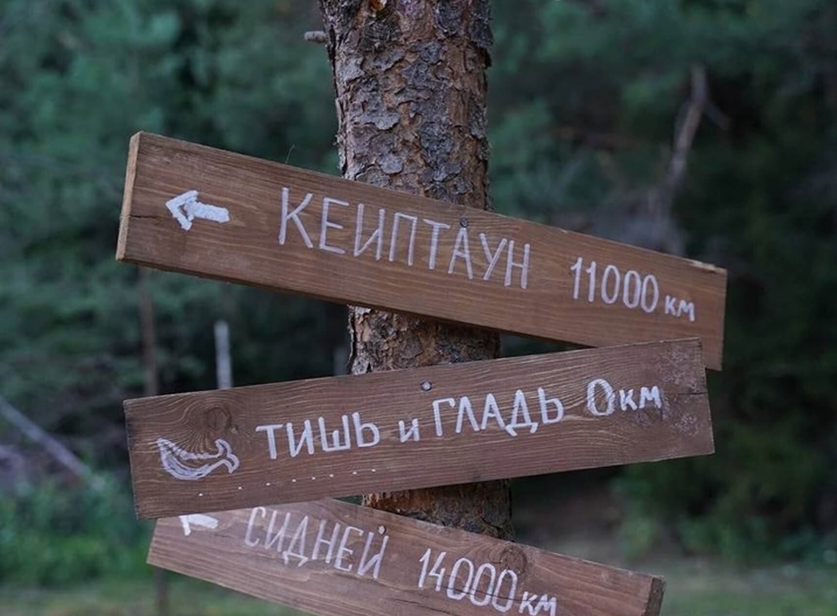 Дом Китов