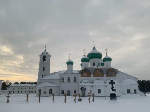 Домики под соснами