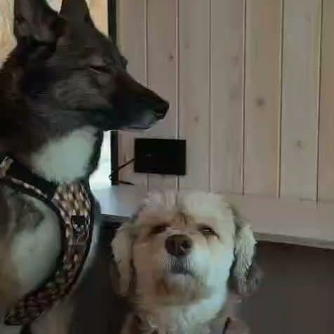 Душа Камчатки