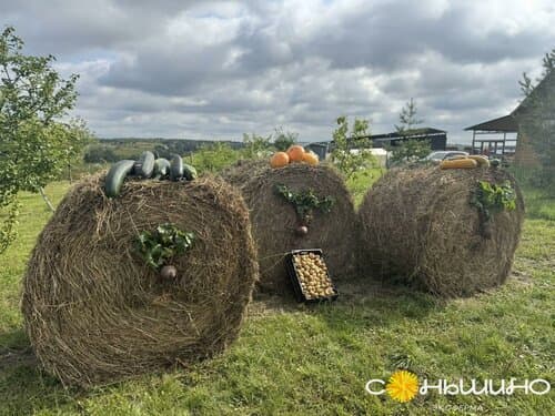 Экоферма Соньшино Парк