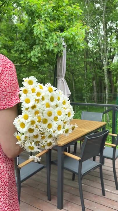 Глэмпинг Елисеевы поляны