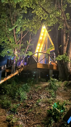Глэмпинг Елисеевы поляны