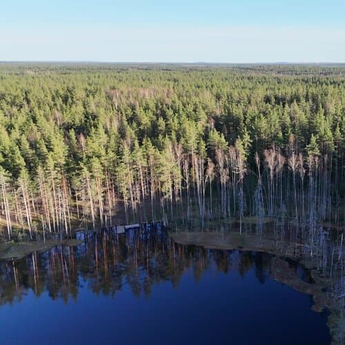 Forest lake