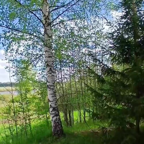 Кемпинг Видомлицы