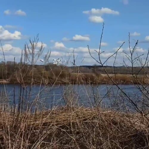 Кемпинг Видомлицы