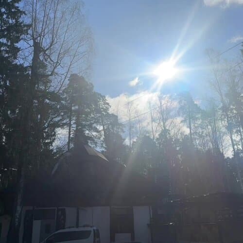 Гуси-Лебеди