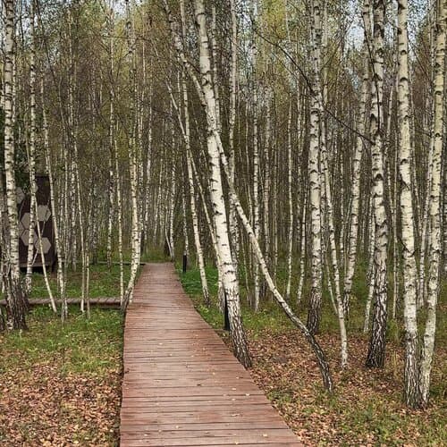 Глэмпинг Honey Day