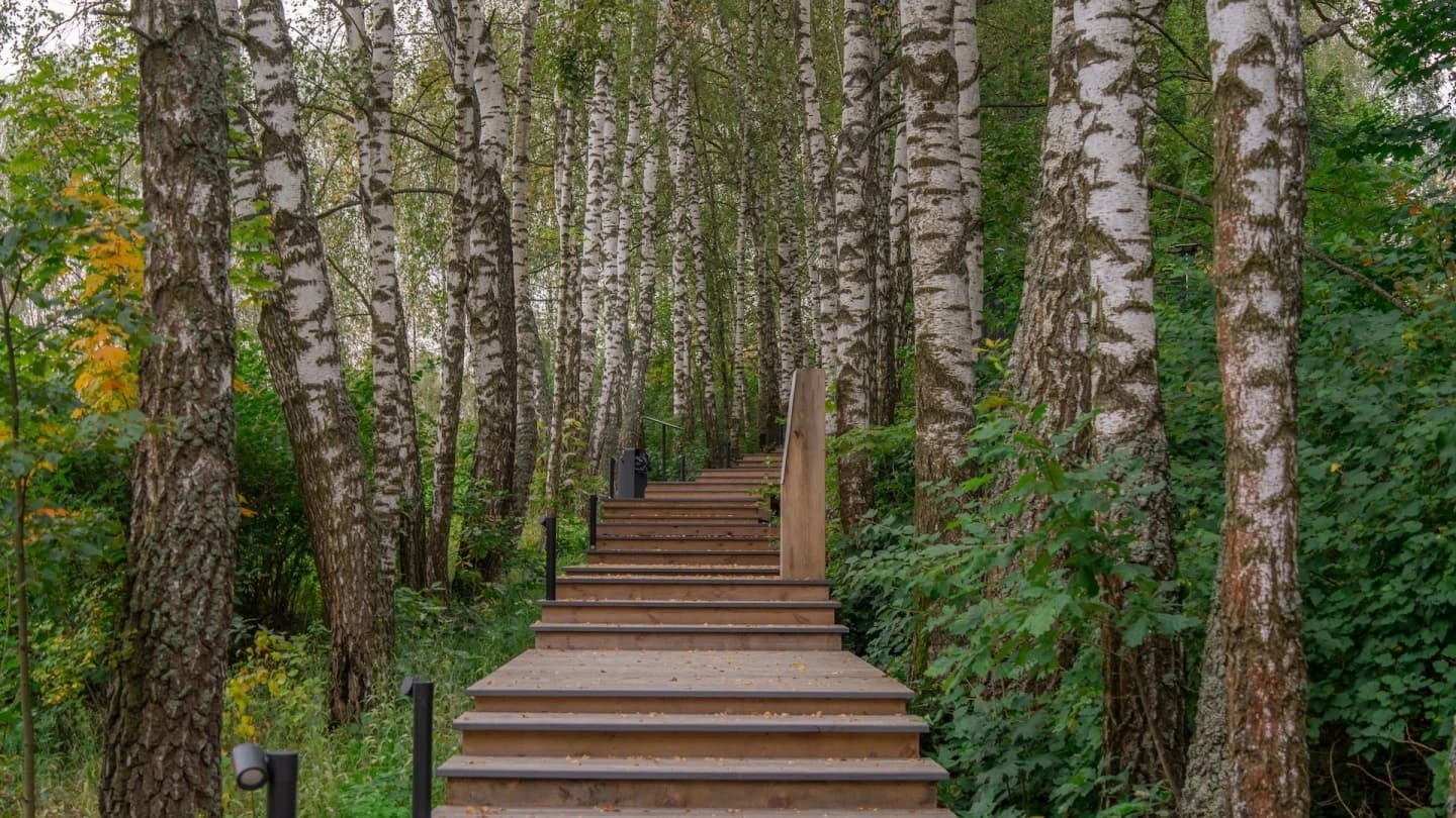 Just Wood